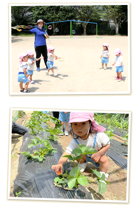 未開封 未記入◇家庭保育園 特別教室 キララ 12～36ヶ月 (24ヶ月ぶん) 1歳児クラス『つくし組』 | 京都きらら幼稚園